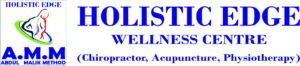 holisticedge.in